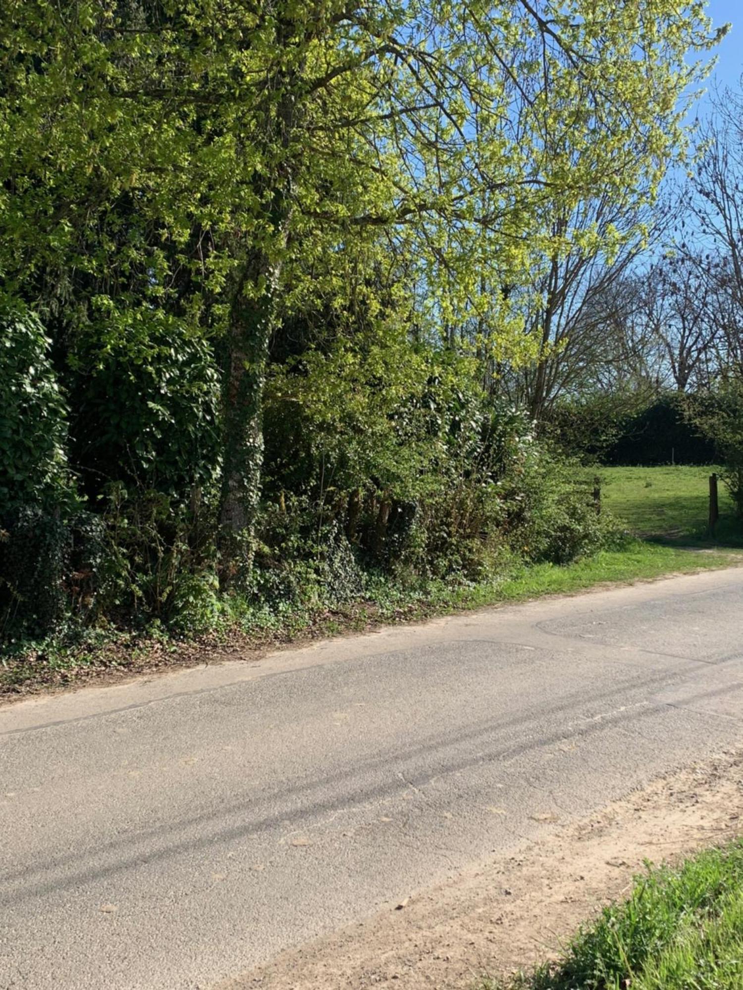 Willa Sur Cote En Dombes Villette-sur-Ain Zewnętrze zdjęcie