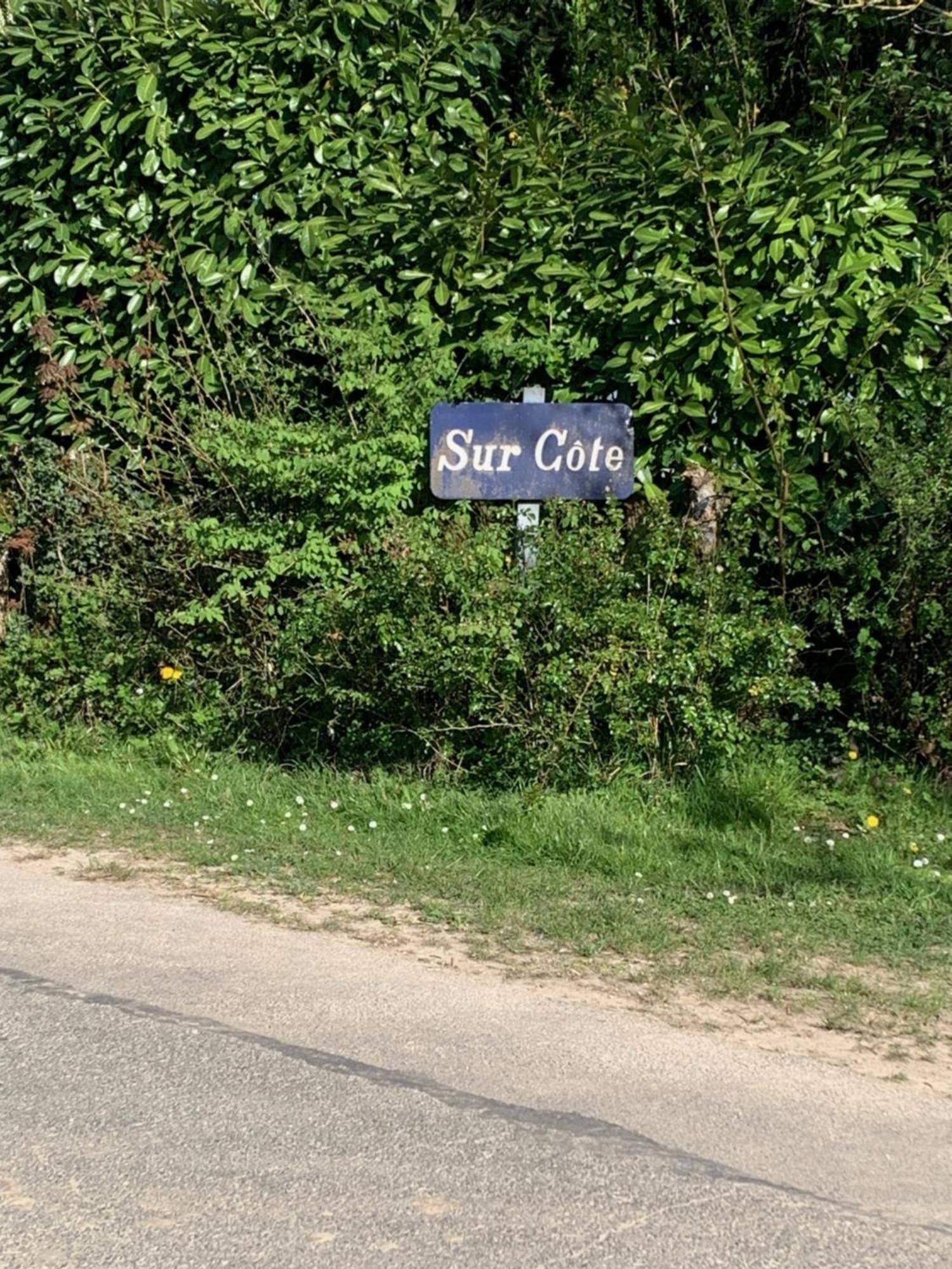 Willa Sur Cote En Dombes Villette-sur-Ain Zewnętrze zdjęcie